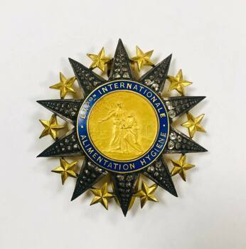 Нагрудный знак. Франция. Международная выставка Гигиена и продовольствие в Париже.  Alimentation Hygiene